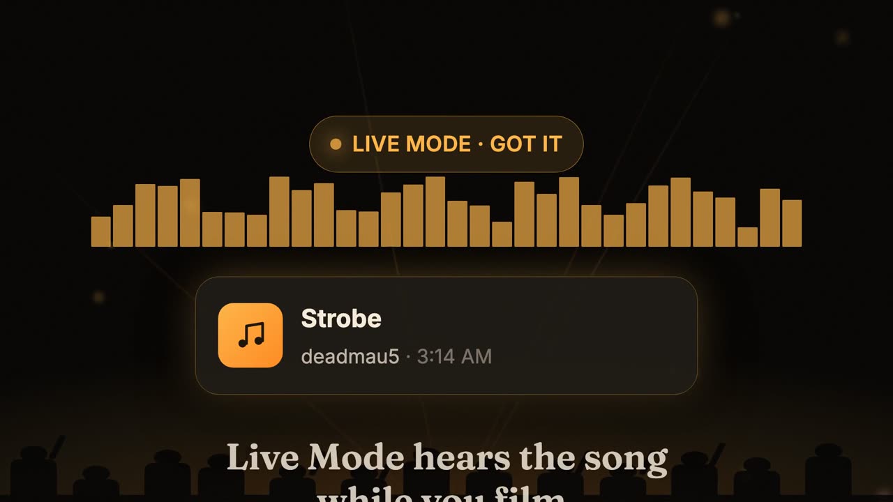 Chord — capture the night
